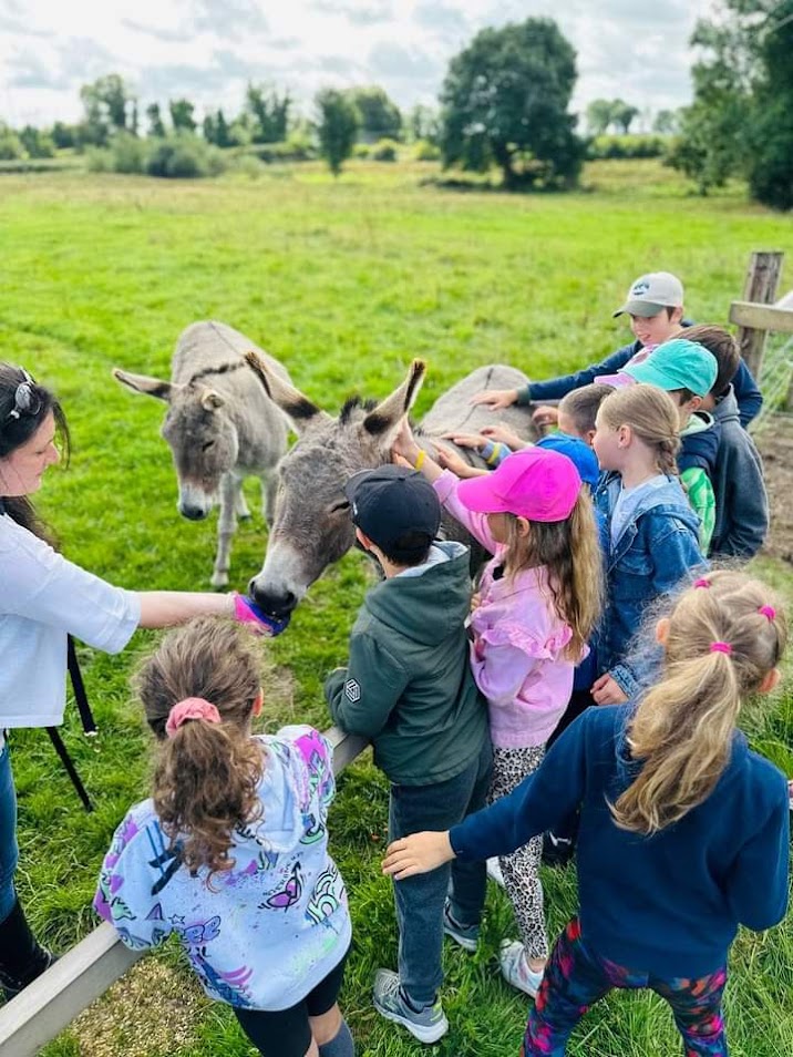 School Visits at Murtagh's Organic Farm
