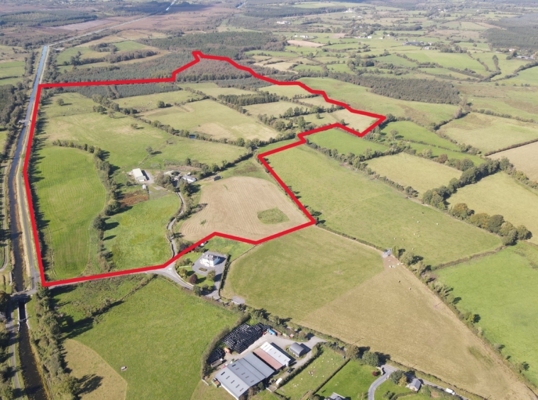 For Sale: Organic Farm