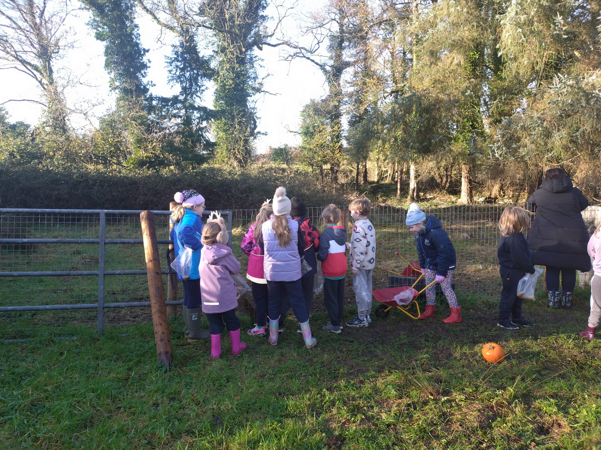 Moyvore Primary School
