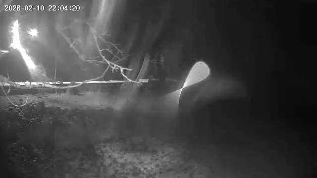 Caught on our security camera. No lights, no passing cars. The camera panned away but it was still there when it panned back! Any thoughts? 