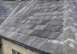 Roof July 2026